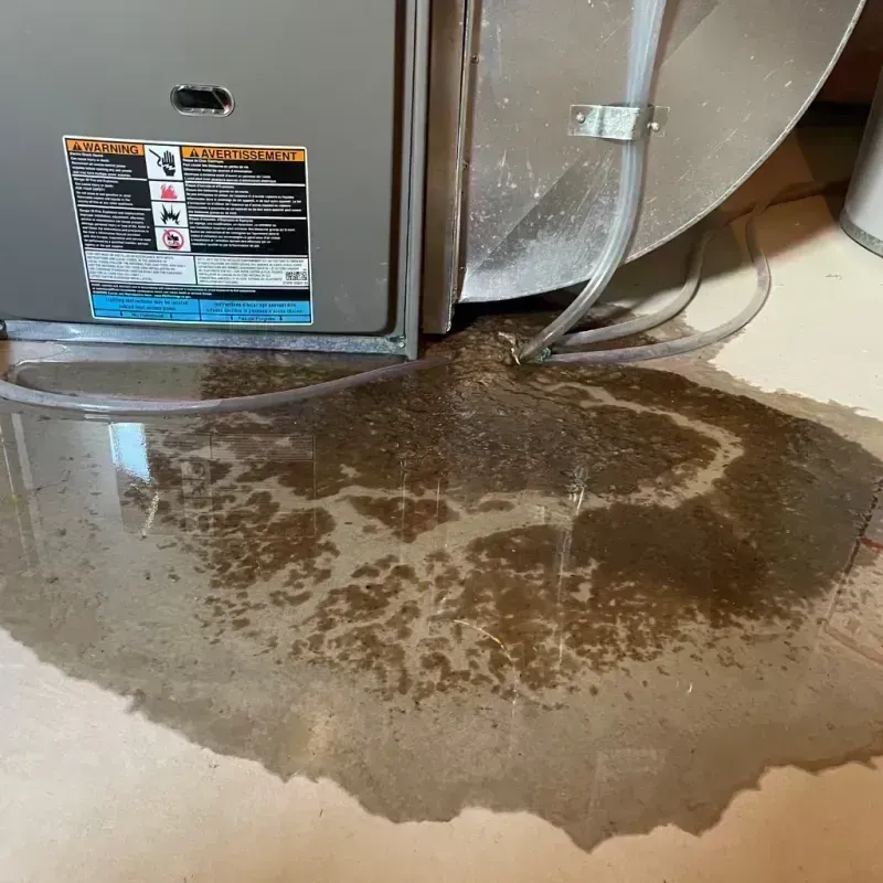 Appliance Leak Cleanup in Hancock County, ME